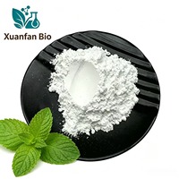 Poudre de menthe de qualité alimentaire 10% 20% soluble dans l'eau, blanche, emballée sous vide en fût, extraction par solvant – Approvisionnement direct usine