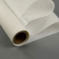 Meilleure qualité A3 Pet Matte jet d'encre rétro-éclairé FILM Polyester rétro-éclairé Film rouleau d'impression inverse à base d'eau rétro-éclairé PET Film