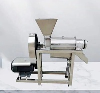 Machine à Jus Automatique pour Orange, Pomme, Raisin, Mangue, Gingembre, Machine Extracteur Industriel à Pression à Froid / Machine de Production de Jus de Fruits