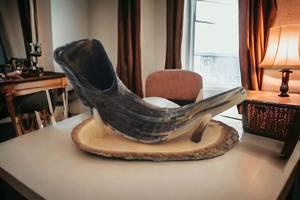 Corne de Viking authentique Support en bois robuste Matériaux de première qualité pour une utilisation durable Décoration de la maison de style animal Technique polie - Product Image 4