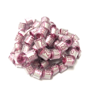 Postduif ringen clip 2020 - Product Image 5