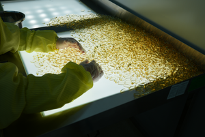 Capsules <span class=keywords><strong>de</strong></span> <span class=keywords><strong>lécithine</strong></span> <span class=keywords><strong>de</strong></span> <span class=keywords><strong>soja</strong></span> - Améliore la mémoire, favorise le sommeil, renforce l'immunité, nourrit le foie et l'estomac - Usage adulte, formules personnalisables, en vrac - Product Image 5