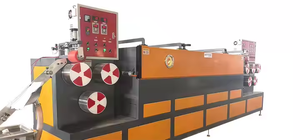 Máquina de producción de bandas de flejado para mascotas Línea de extrusión de correa de paquete de mascotas Planta de fabricación de correas de plástico para mascotas - Product Image 5