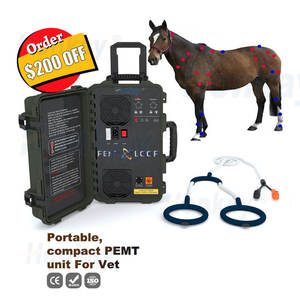 PEMF 6000Gauss, alat terapi rehabilitasi pereda nyeri kuda magnetik daya tinggi - Product Image 2