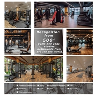 Equipo de Fitness Inteligente para el Hogar, Estación Multifunción, Máquina de Gimnasio Comercial, Set de Pesas, Espejo Inteligente, Remo Echelon, Metal