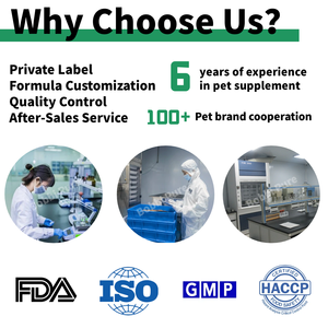 فيتامينات الكلاب ، مكمل مسحوق الورك والمفاصل ، جلوكوزامين التهاب المفاصل الطبيعي للكلاب - Product Image 2