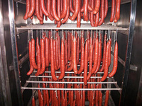 Four à fumer pour hot-dogs en acier inoxydable, machine à fumer électrique pour viande, poisson, fabrication de saucisses, chambre à fumée au gaz