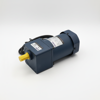 Moteur asynchrone 120W 90mm AC monophasé 220V, efficacité IE3, protection pour mécanismes de levage