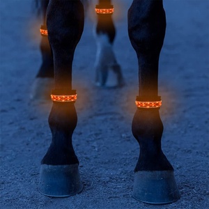 Licollinli — bande lumineuse <span class=keywords><strong>de</strong></span> sécurité LED, accessoire lumineux pour les jambes du <span class=keywords><strong>cheval</strong></span> - Product Image 5