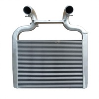 Chinese Factory Diesel Engine Machine Spare Parts Heat Transfer System Intercooler XD for DAF XF106