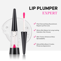Vente en gros de gloss à lèvres liquide personnalisé, végétarien, longue durée, hydratant, repulpant et brillant, huile à lèvres transparente