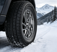 Neumáticos de Invierno para Automóviles, Neumáticos para Clima Frío Extremo, para Automóviles de Pasajeros y SUV, Tamaños 265/35R20 285/40R20 305/40R20