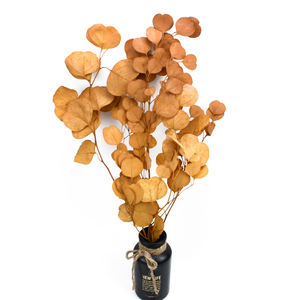Nuevo follaje 2025 Forever Flower DIY plantas <span class=keywords><strong>de</strong></span> jardín hojas <span class=keywords><strong>de</strong></span> eucalipto preservadas para Arreglo <span class=keywords><strong>de</strong></span> decoración Interior del hogar DIY - Product Image 5