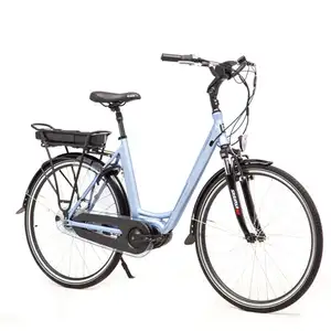48V 12.5Ah 8 Speed Bafang Mid Motor Aluminum Alloy Cargo Electric City Bike Cycle