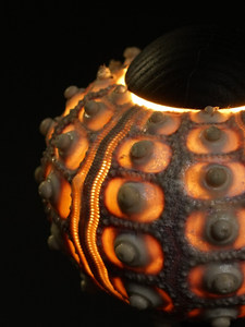 Lampe à capteur tactile sur base en bois avec coquille d'ormeau de la série Naturelle, pour table, ambiance décorative, Art Déco, salon, cadeau de festival - Product Image 4