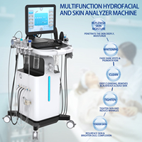 Appareil de soin du visage Hydro Facial 13 en 1, écran tactile 15 pouces, analyseur de peau, stylo à vide, lumière photonique, unité de beauté 250VA