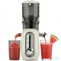Extracteur de Jus Électrique à Pression à Froid de Qualité Supérieure pour Pommes, Carottes et Oranges – Meilleure Machine à Jus Lente pour Fruits