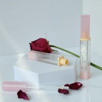 Distribué vente unique brillant à lèvres Tubes maquillage vide brillant à lèvres Tubes avec boîte et logo personnalisé