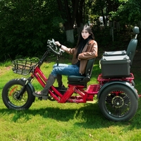 Tricycle électrique de luxe à double moteur, couple super puissant 27 °   Tricycle tout-terrain à suspension intégrale pour la montagne