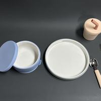 Bol en céramique écologique personnalisable ensemble d'alimentation de vaisselle de cuillère de plat d'aspiration forte