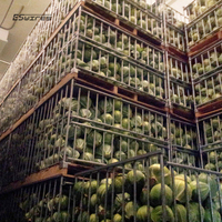 Cage à légumes en métal entièrement galvanisé, empilable, à prix compétitif, avec base pour palette Euro