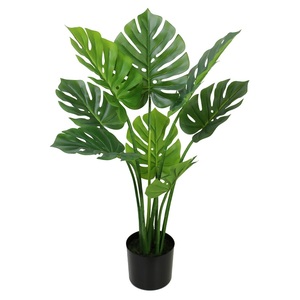 Plantes <span class=keywords><strong>albo</strong></span> Monstera de 90cm, décoration pour le jardin, la maison - Product Image 1