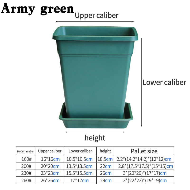 Bassin vert de l'armée + plateau
