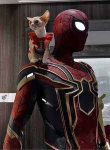 Sculpture Iron <span class=keywords><strong>Spider</strong></span>-<span class=keywords><strong>Man</strong></span> <span class=keywords><strong>Marvel</strong></span> <span class=keywords><strong>Avengers</strong></span> de haute qualité, taille réelle 1:1, avec éclairage LED, statue en résine pour décoration de collection - Product Image 2