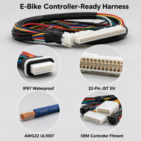 Solvet OEM E-Bike Kabelbaum TE AMP MCP 10-Pin AWG22 UL1569 Wasserdicht IP68 Flipsky VESC Controller für Elektrofahrräder und -roller