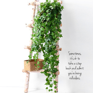 Décoration murale en lierre artificiel Hua Qianyun, petite taille, fleurs en soie pour la maison et les accessoires de mariage - Product Image 1