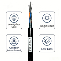 Cable de Fibra Óptica para Exteriores Modelo GYTS de Doble Blindaje, Fabricado en Guangdong, G652D, 2-288 Núcleos, 10 Conductores, Sistemas de Comunicación