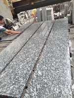 Dalle de granit Hailanghua à motif ondulé naturel, design traditionnel, surface polie, légère, pour salon et cuisine
