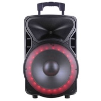 Sistema de Sonido PA para DJ con Subwoofer Profesional de 300W y 15 Pulgadas, 1 Canal, Inalámbrico TWS, Karaoke, Pantalla y Control Remoto por Computadora
