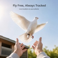 Traceur GPS OEM en temps réel pour pigeons, suivi des vols en extérieur, bagues de positionnement pour pattes, 2,2g, Bluetooth, WiFi, batterie 1 an