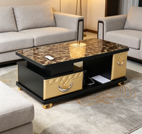 Meubles TV et Tables Basses Modernes Haut de Gamme avec Fonction de Rangement, Meubles de Salon pour Villa, Appartement, Hôtel