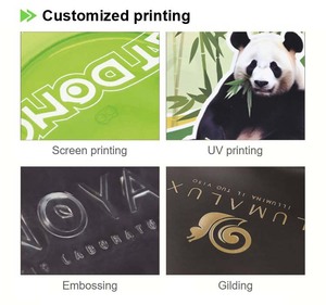 UIOWIO Fabriek Aangepaste Verkoop Enkelvoudige Herbruikbare Transparante Wijnkoeler Plastic IJs Wijn Champagne Bierfles Draagtassen Aangepast Logo - Product Image 6