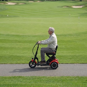 Tricycle électrique auto-équilibrant, durable et longue portée avec contrôleur intelligent pour le transport en banlieue et <span class=keywords><strong>sur</strong></span> les terrains de golf - Product Image 6