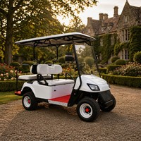 Voiturette de golf électrique Tarion 4 places, moteur AC 60V, suspension à ressorts à lames, pneus 205/50-10, buggy de golf OEM, 35 km/h, autonomie 90 km