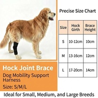Attelle de soutien moderne pour articulation du genou canin, enveloppe de compression pour la jambe arrière du chien, pour entorses, soins des plaies et récupération des blessures