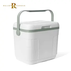 Hot Selling Kunden spezifische Farbe 5.5L Ice Chest Box Isolierter Kühler Klein für Impfstoffe