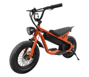 Trottinette électrique pour enfants GreenPedel 14 <span class=keywords><strong>pouces</strong></span> avec pneus larges, 250W 24V 10.4Ah, frein mécanique sûr, vélo électrique pour enfants - Product Image 1