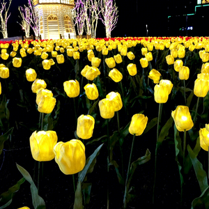 Éclairage LED en gros pour champs <span class=keywords><strong>de</strong></span> tulipes, éclairage paysager haute densité pour allées, mariages, jardins et installations massives <span class=keywords><strong>de</strong></span> parcs à thème - Product Image 1