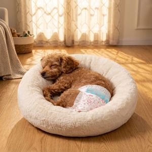 (XXS, 10 pièces) Couches jetables super absorbantes pour chien, pour chienes en période de chaleur, pour l'urination et comme culotte anti-intimidation - Product Image 1