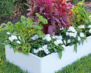 ערכת מיטת עציץ מתכת מגולוונת מגולוונת מוגבהת - Product Image 2