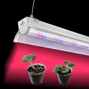 LED Full spectrum 80w 4ft 4 pieds lampe de croissance pour plantes d'intérieur t8 bar tube led grow light