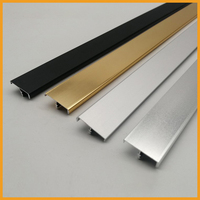 Ventes directes du fabricant T Bande de bordure en alliage d'aluminium de type E Bande de bordure écologique 16