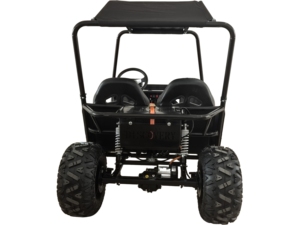 EGS 2025 Nouveau <span class=keywords><strong>Buggy</strong></span> Électrique 1000W 48V 20AH 2 Places Style Coach Double Pédale de Frein Enfants Adultes Karting Extérieur Vitesse Max 50km/h - Product Image 6