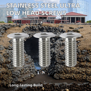 Vente chaude usine Vis à tête hexagonale ultra-basse en acier inoxydable, modèle plaqué argent, vis métriques à tête hexagonale pour - Product Image 2