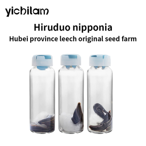 Sanguijas vivas Hirudo Nipponia, sanguijas de origen vegetal de fábrica, extractos 100% puros - Product Image 6