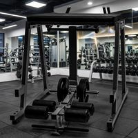 Équipement de fitness pour salle de sport : Banc de musculation pour hyper-extension inversée, Machine à flexions dorsales et à extension des jambes allongées